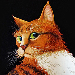 Macavity the cat